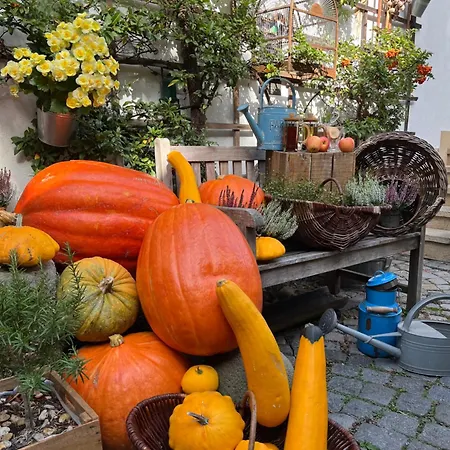 Hotel Romantik U Raka Praha