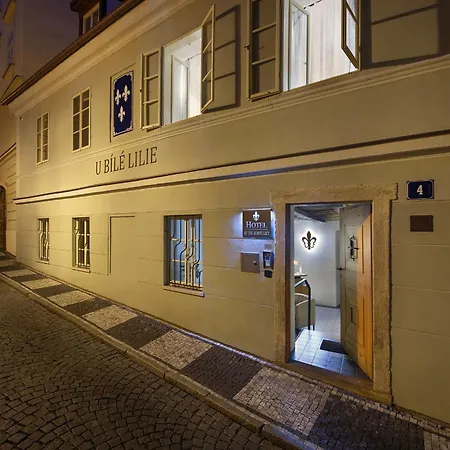 At The White Lily Prague