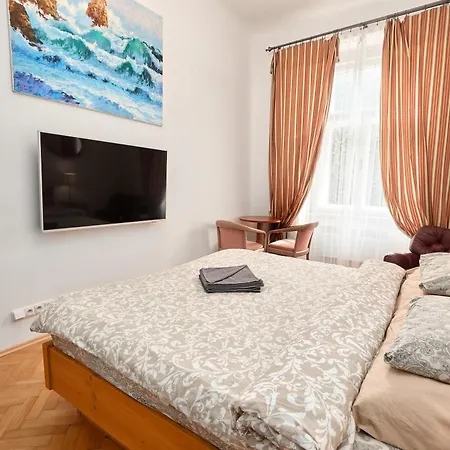 & Parking Assistance Homestay Prague