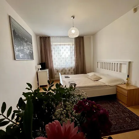 Sofi Prague