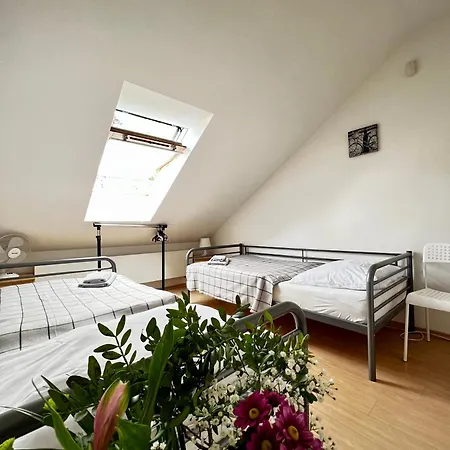 Sofi Guest house 3*