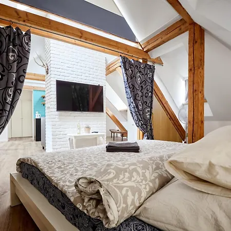 At The Blue Lion & Parking Assistance Homestay Prague