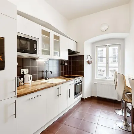 At The Blue Lion & Parking Assistance Homestay Prague