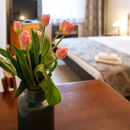 Hattrick Guest house