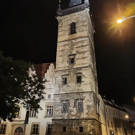 New Modern-style With Balcony In The 2 Apartment Prague