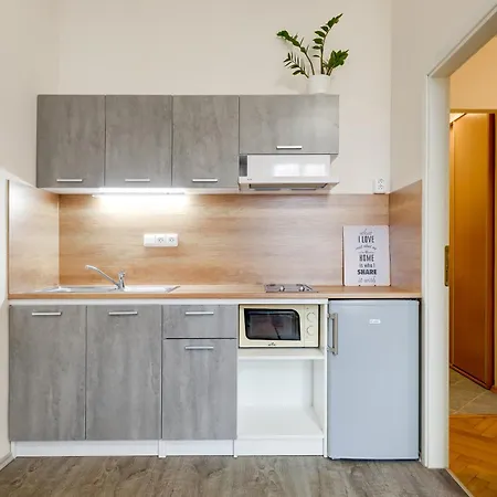 Apartment Nejedleho Prague