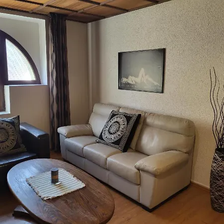 Sunflower And Apartament Praga