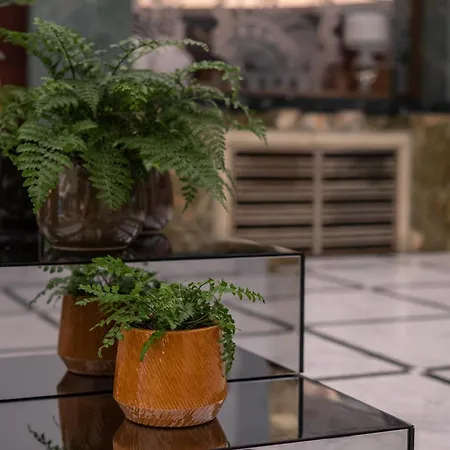 Almanac X Alcron Hotel Praga