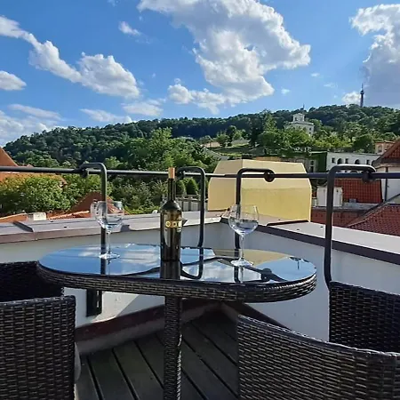 At The Blue Lion & Parking Assistance * Prague
