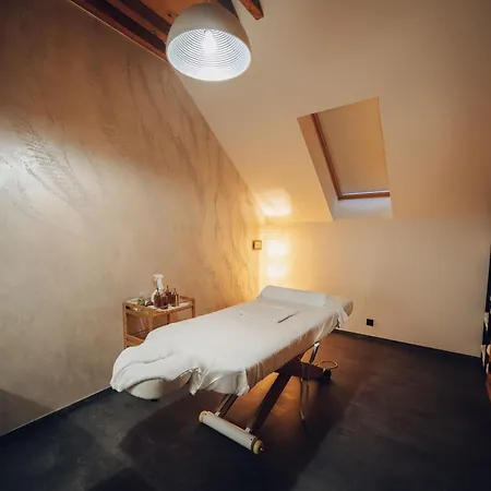 Vista & Club 4* Praga