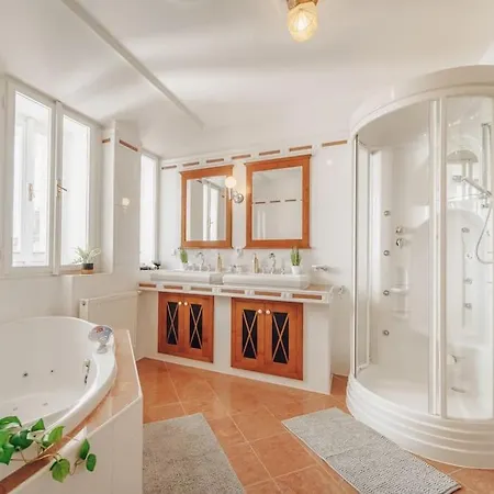 Apartment Magnificent Historical Penthouse In The Heart Of