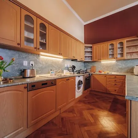 Magnificent Historical Penthouse In The Heart Of Prague