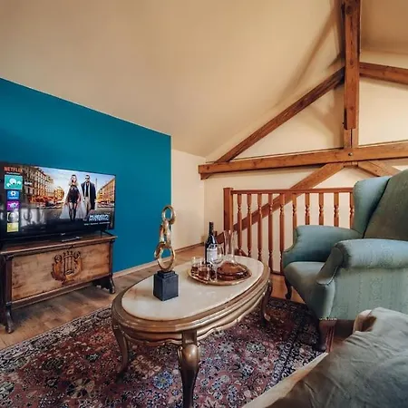 Magnificent Historical Penthouse In The Heart Of Apartment *