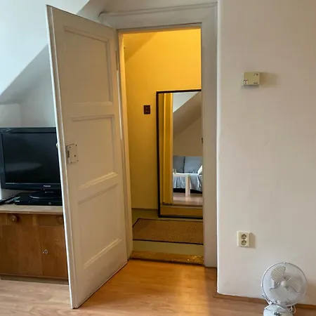 Apartment Podkrovni Byt 1kk
