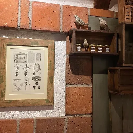 Romantik U Raka 4*