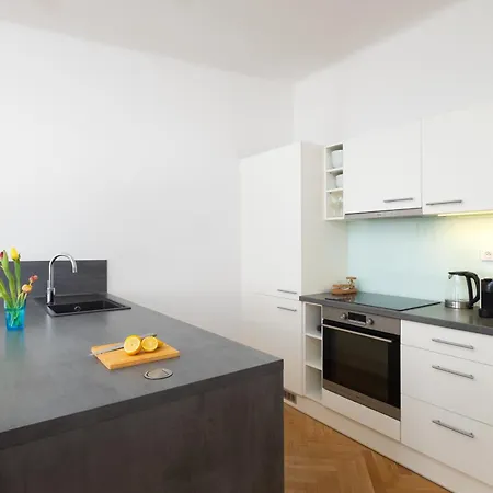 Apartment Stru House By Days - Luxurious Next To National Theatre Prag