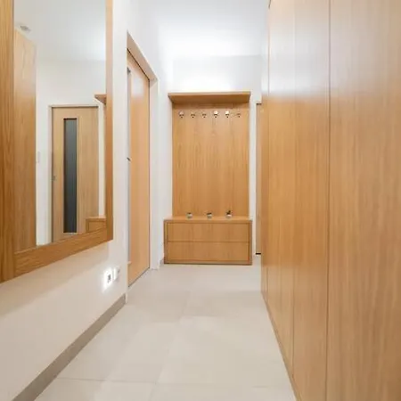 Zizkov - Dz Rent Apartment