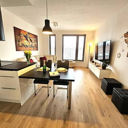 Luxurious Near The Center - Entire Unit