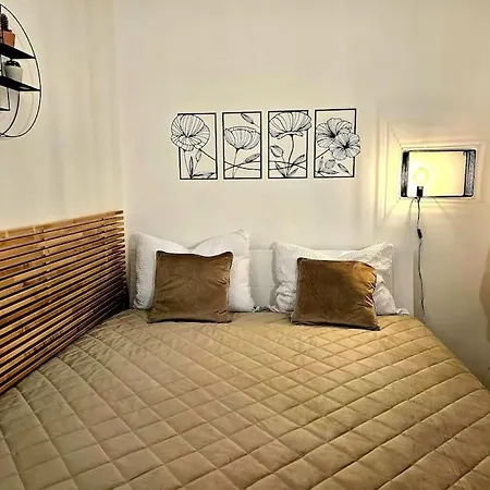 Luxurious Near The Center - Entire Unit Apartment *