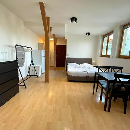 Katerina's Downtown Apartment *