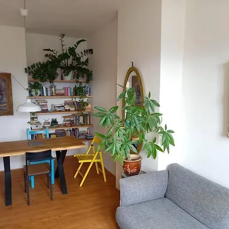Apartment With Large Terrace *