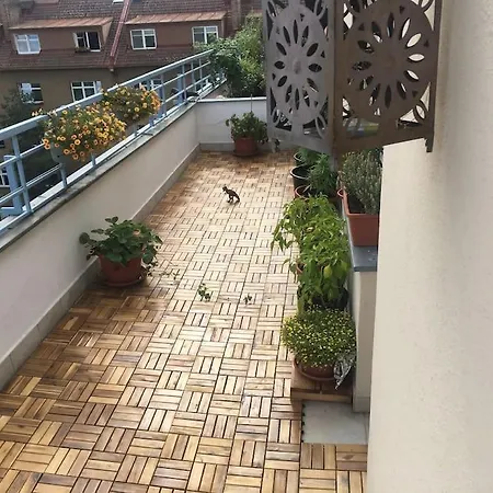 With Large Terrace *