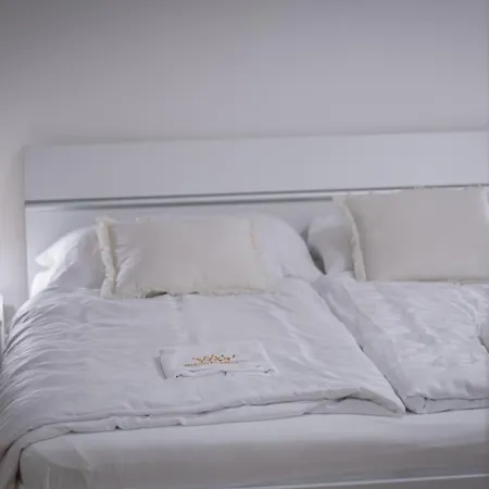 Apartment Helen New Chain Florenc Prague