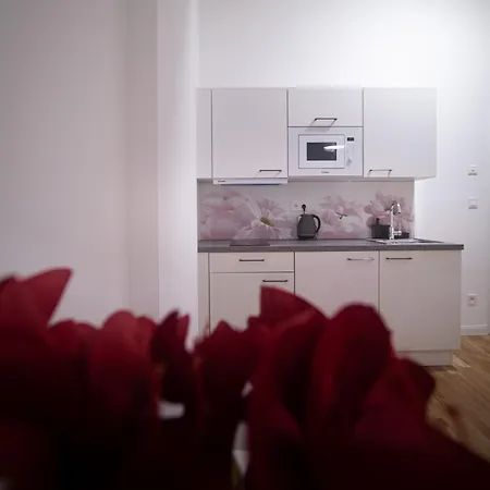 Helen New Chain Florenc Apartment *