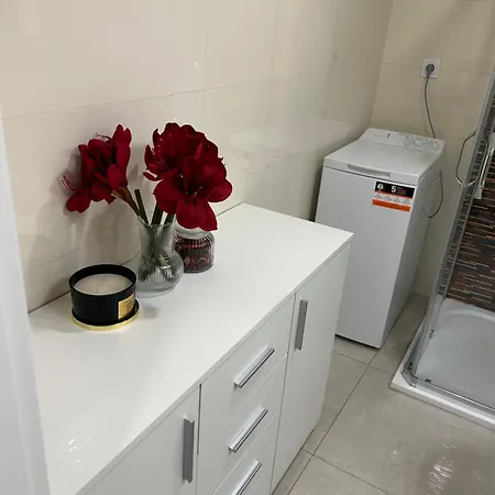 Apartment Helen New Chain Florenc Prague