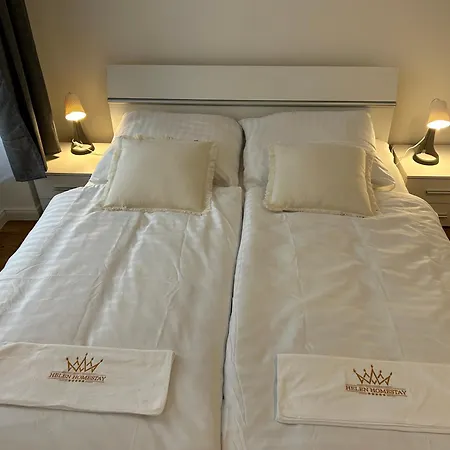 Helen New Chain Florenc Apartment Prague