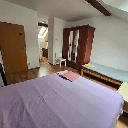 Apartament Zizkov A Praga