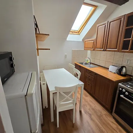 Apartment Zizkov A