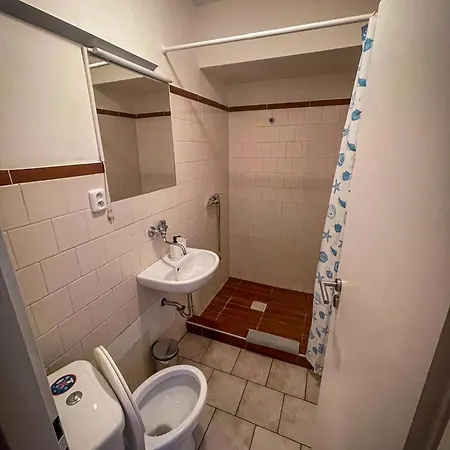 Apartment Dittrichova *
