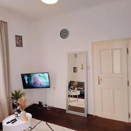 Apartment Swanky *