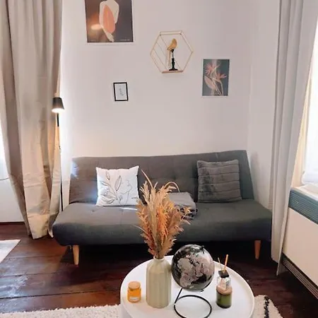 Apartment Swanky