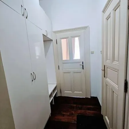 Swanky Apartment Prague