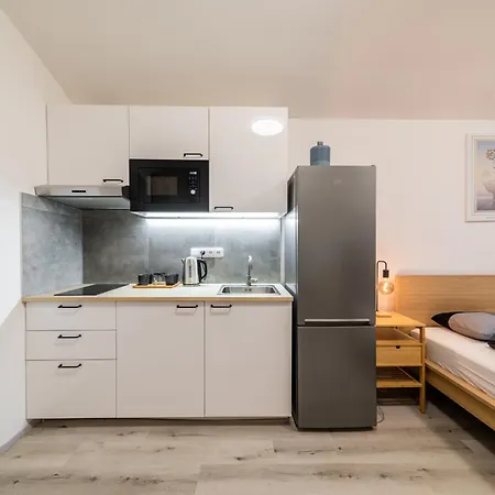 Borivojova 63 Apartament Praga