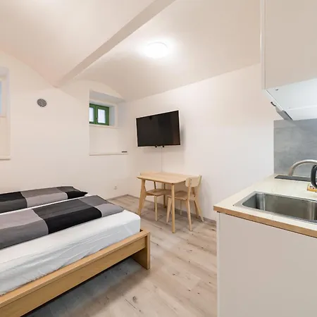 Borivojova 63 Apartament Praga