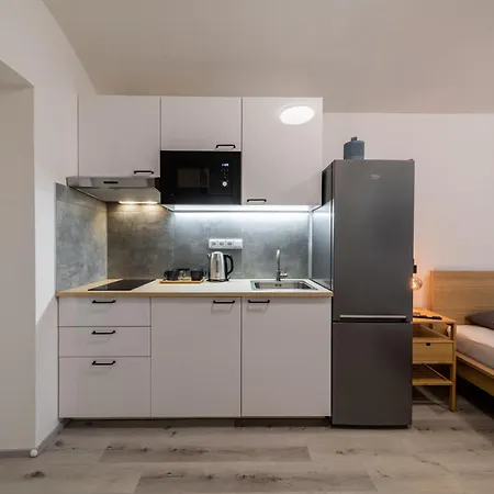 Borivojova 63 Apartament Praga
