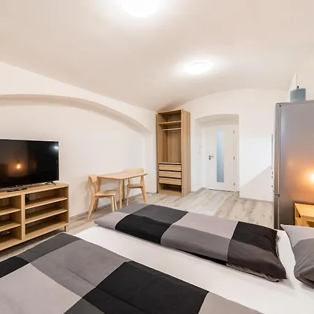 Apartament Borivojova 63