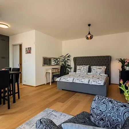 Apartment Romantic Wellness *