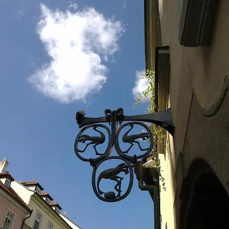 U 3 Pstrosu Прага