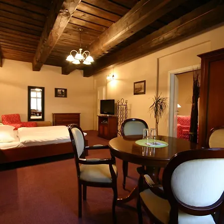 Hotel U Tri Bubnu Prague