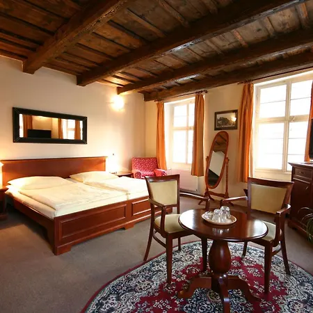 Hotel U Tri Bubnu Prague