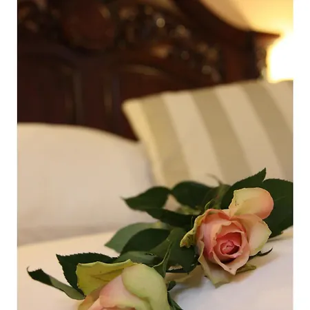Otel Golden Age 3*