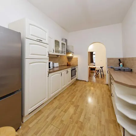 Apartment Borivojova 50 *