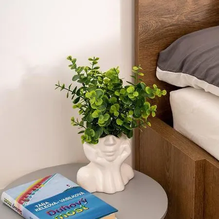 Apartment Free Parking- Newly Built *