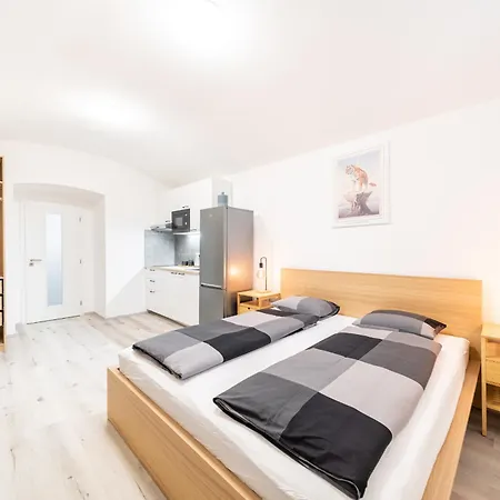Apartament Borivojova 63