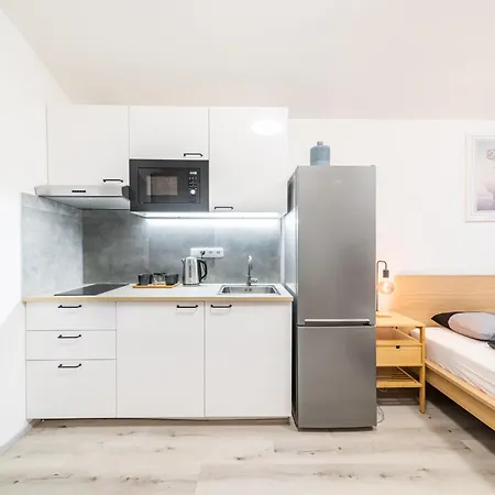 Apartament Borivojova 63 *