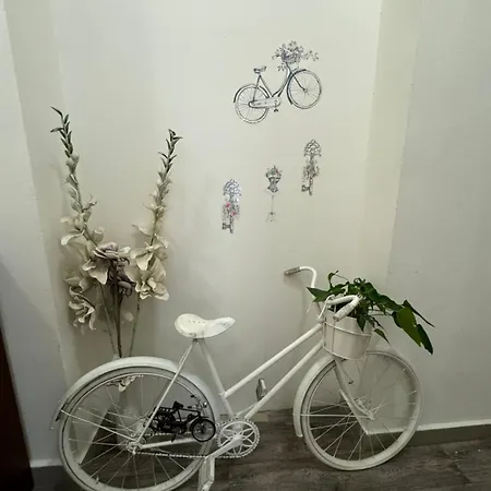 Fantastic In The Center Apartment